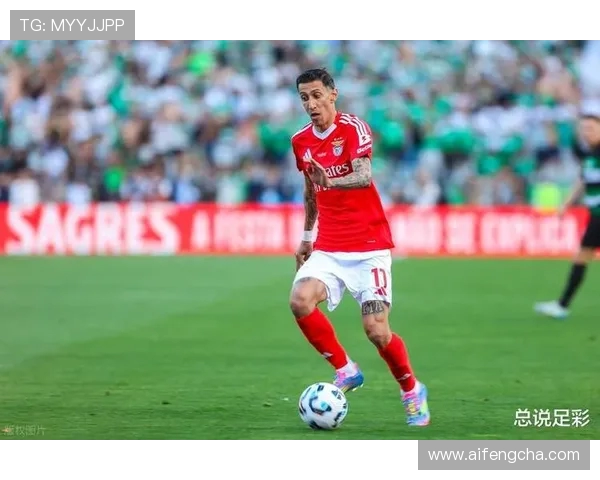 红牌 + 头球救主!本菲卡 2-2 博卡青年(3) 红牌 + 头球救主!本菲卡 2-2 博卡青年(3)